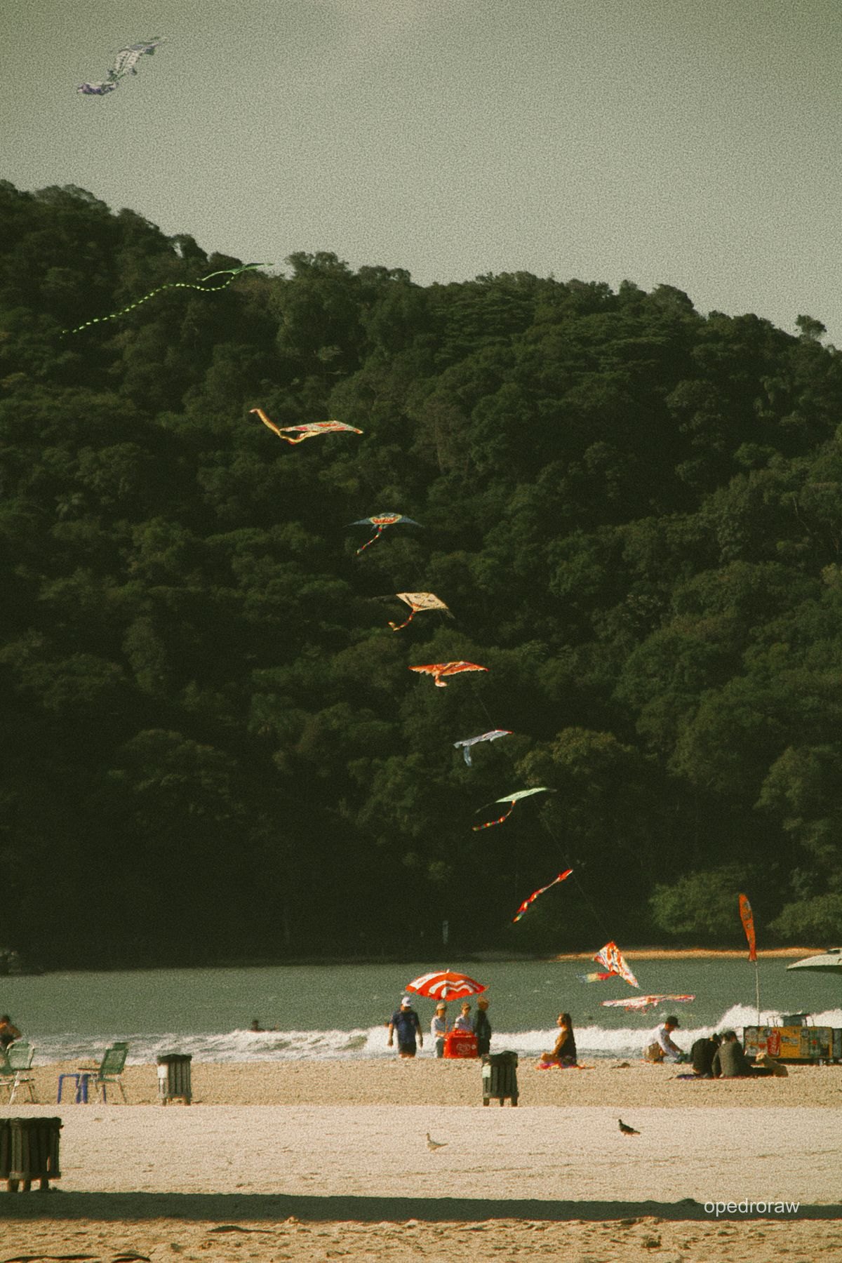 Pipas coloridas sobre a praia e a mata